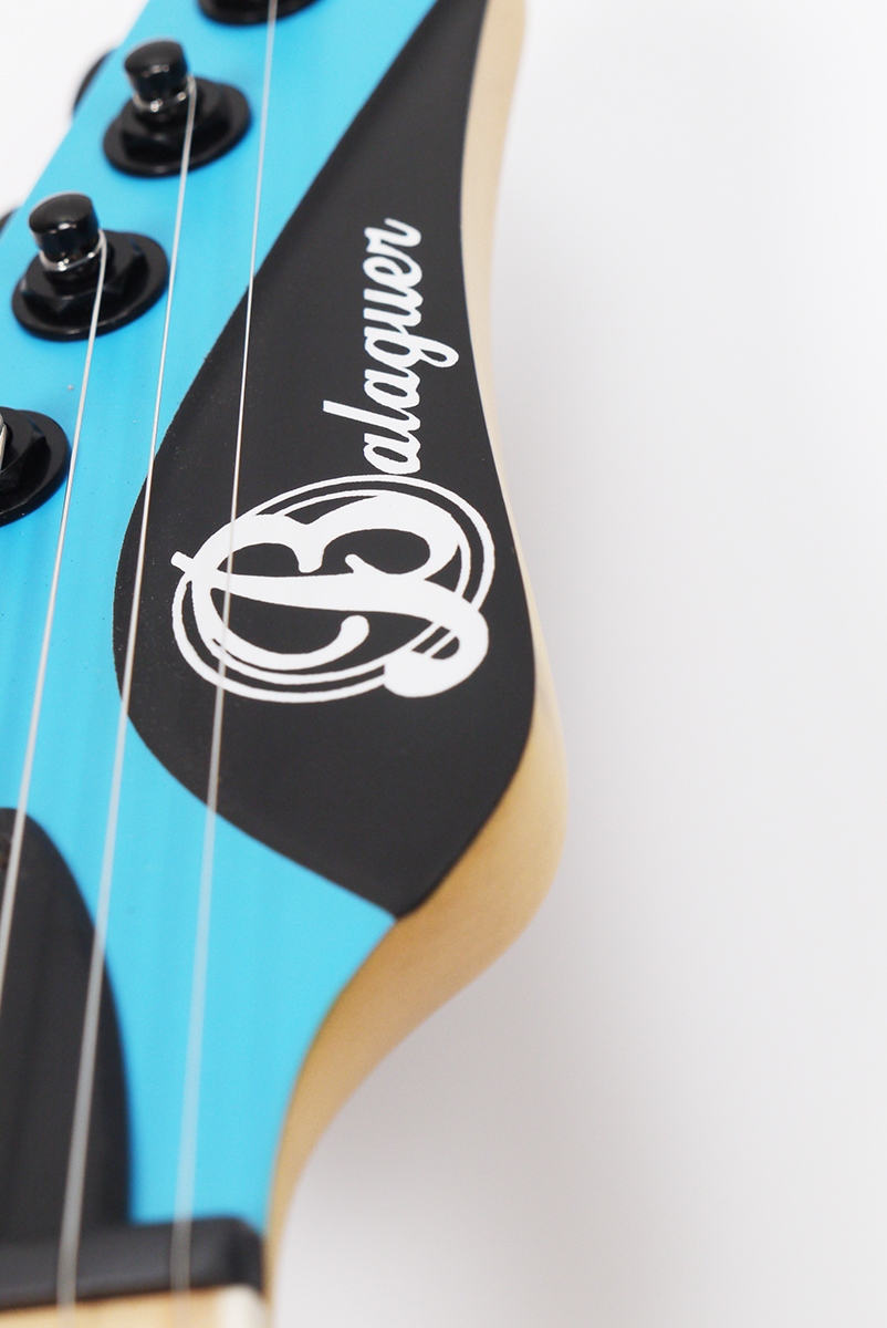 Want to customize one of our guitars?